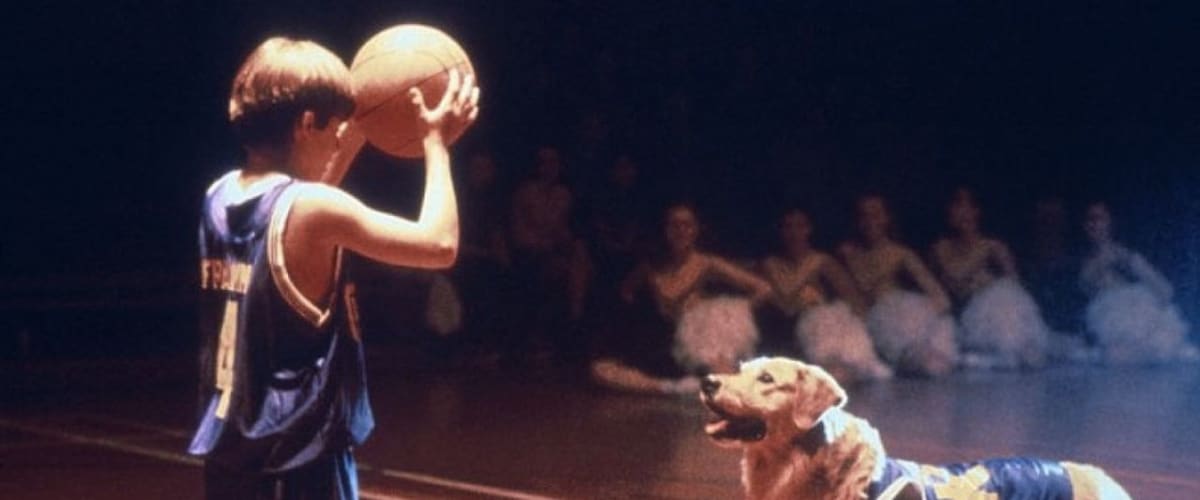 air bud movies free