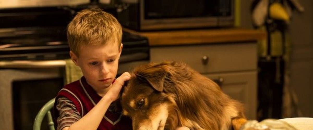 2013 The Young And Prodigious T.S. Spivet