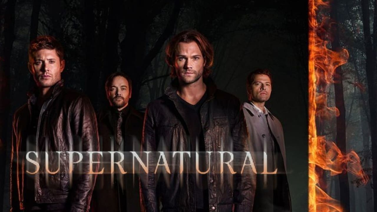 supernatural season 10 watch