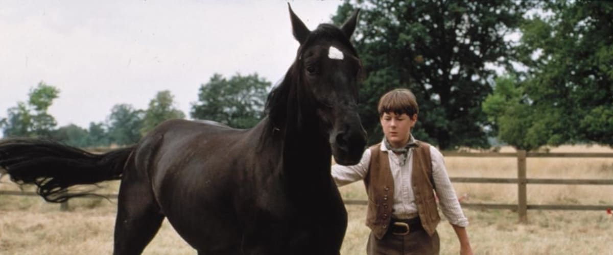 Watch Black Beauty (1994) Full Movie on FMovies.to