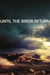 Until the Birds Return