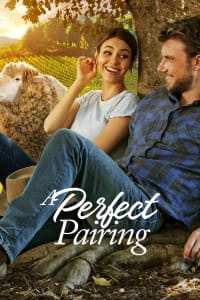 A Perfect Pairing | Watch Movies Online