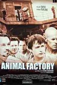 Animal Factory | Bmovies