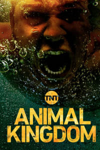 Animal Kingdom - Season 3 | Bmovies