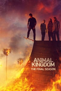 Animal Kingdom - Season 6 | Bmovies