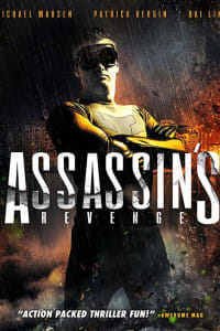 Assassins Revenge | Bmovies