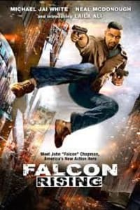 Falcon Rising | Bmovies