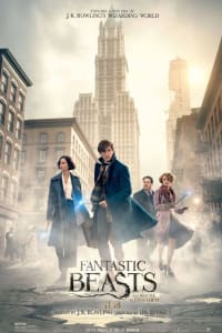 Fantastic Beasts and Where To Find Them | Bmovies