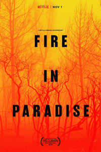 Fire in Paradise | Bmovies