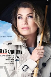 Greys Anatomy - Season 12 | Bmovies