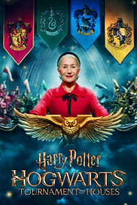 Harry Potter: Hogwarts Tournament of Houses - Season 1