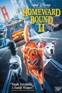 Homeward Bound 2: Lost in San Francisco | Bmovies