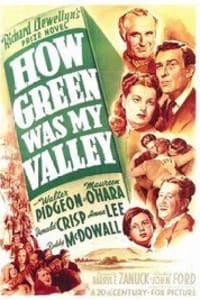 How Green Was My Valley