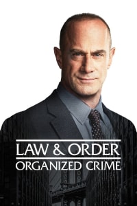 Law & Order: Organized Crime - Season 2 | Bmovies
