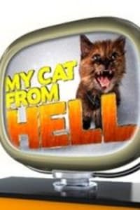 My Cat From Hell - Season 8 | Bmovies