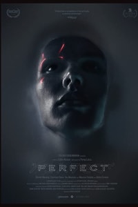 Perfect | Watch Movies Online