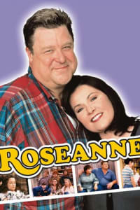 Roseanne - Season 6 | Bmovies