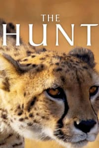 The Hunt - Season 1 | Bmovies