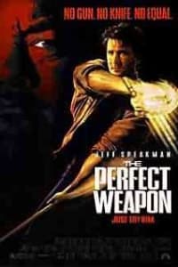 The Perfect Weapon | Bmovies