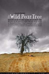 The Wild Pear Tree | Watch Movies Online