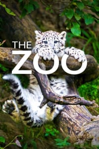 The Zoo - Season 5 | Bmovies
