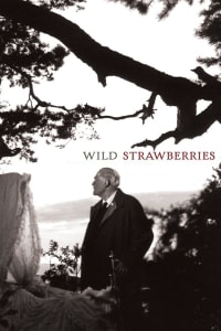 Wild Strawberries | Bmovies